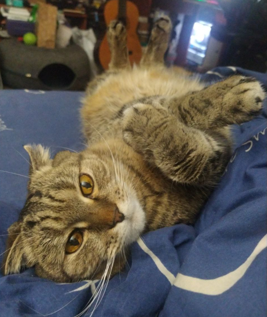 Фото героя комикса )))