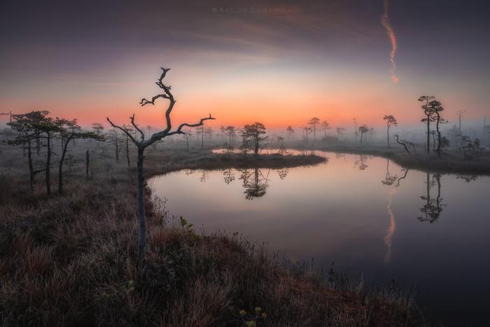 Canon 5dmIV, 16-35 2.8