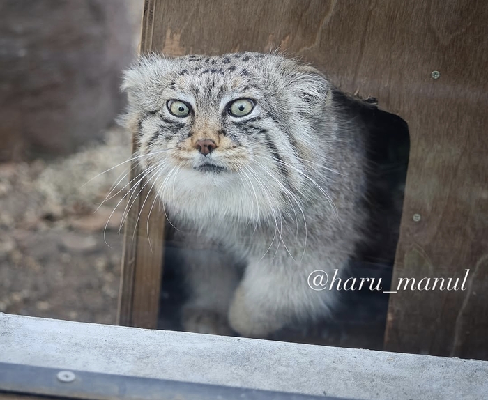 ����� ���� ��� ��?