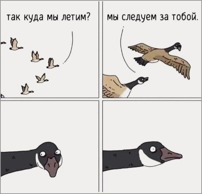 ������ �����!