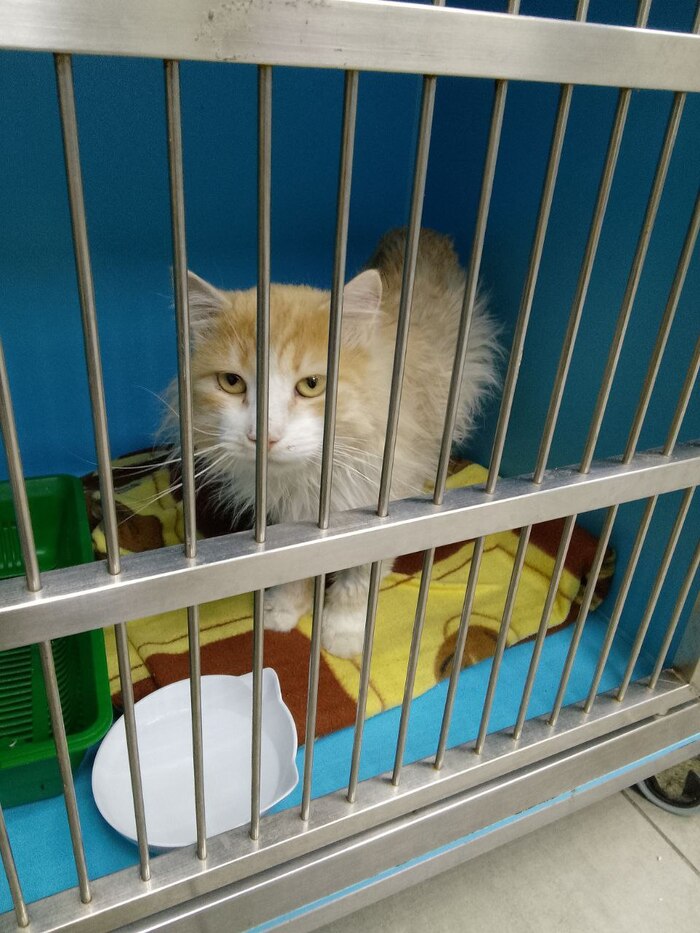 ����������� ����� �˸�� ��������. ��� � ����� �� ���