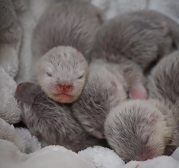 ������������� �������