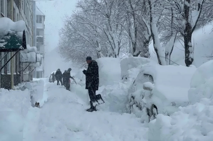 ������, ��������, �����������... ���� �� ����� ���� �����