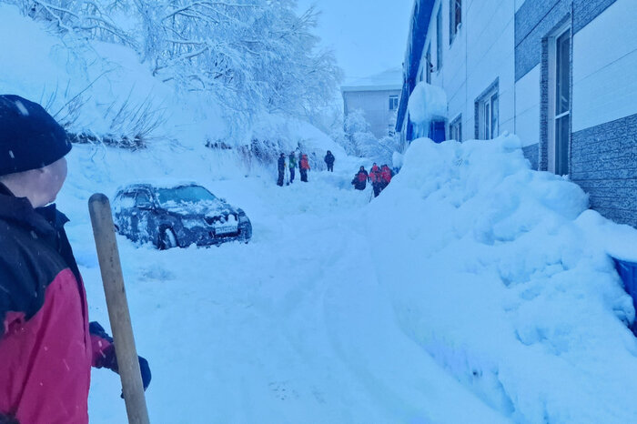 ������, ��������, �����������... ���� �� ����� ���� �����