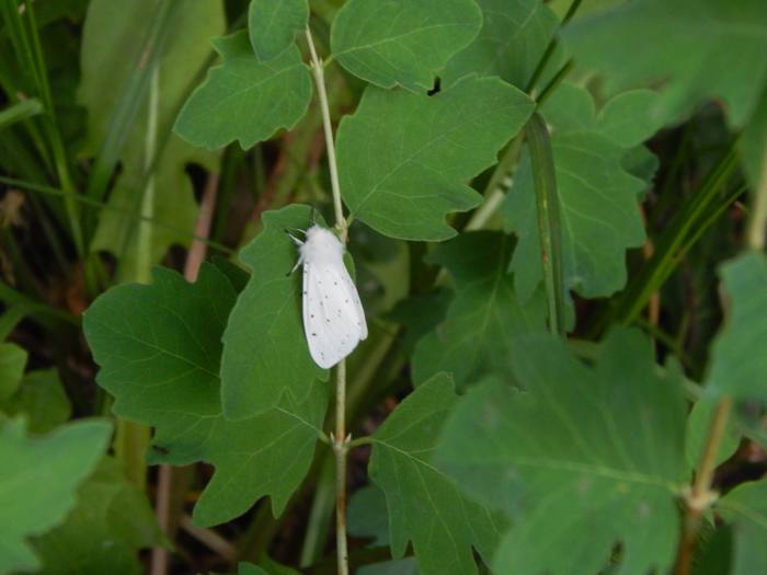 ��������� ��������� ��� ������