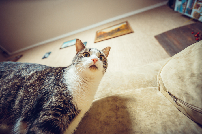 6 ���� ���-��, �������, ��� ��� ������ ����� ���� ������?