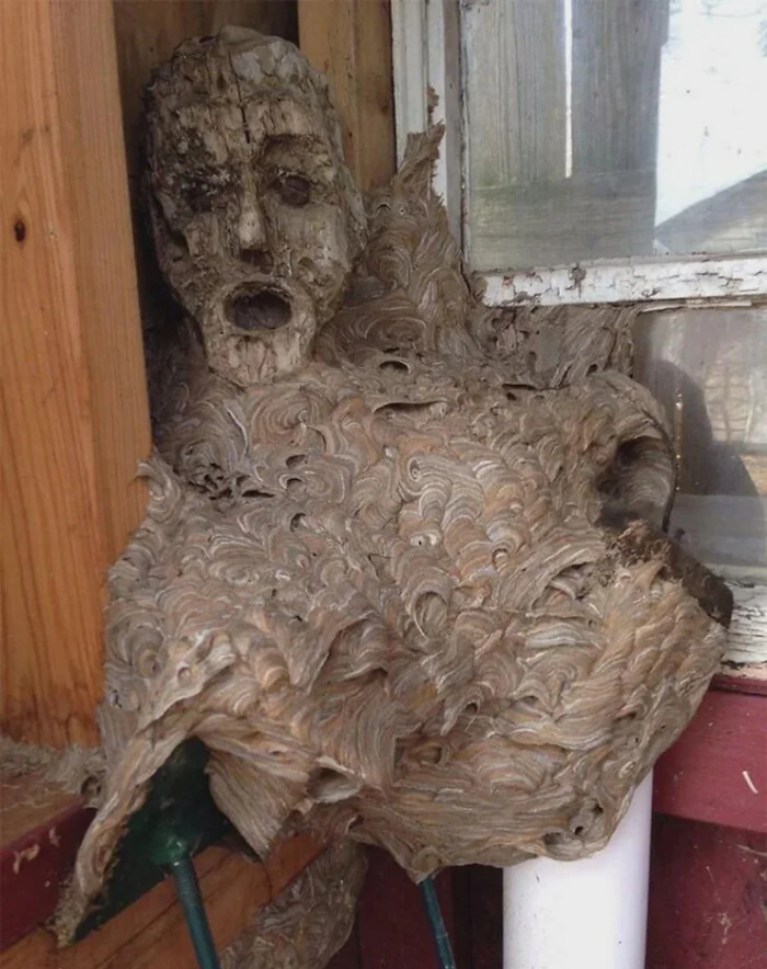 ��� ����� � �����