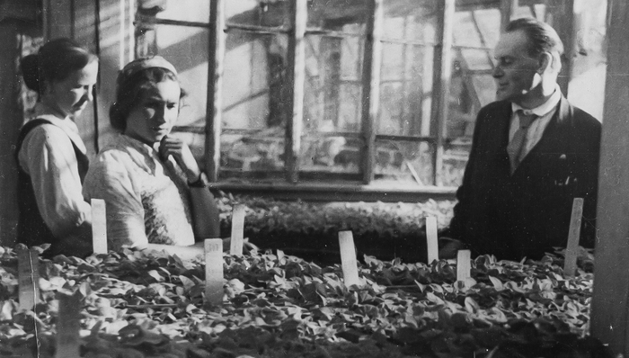 ����������� ������������� � ������������ �������� � ���������� ������������� ����. �� ��������� ��������� � ���������� ������������� ����� ��� ���.