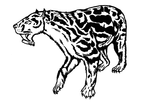 Barbourofelis