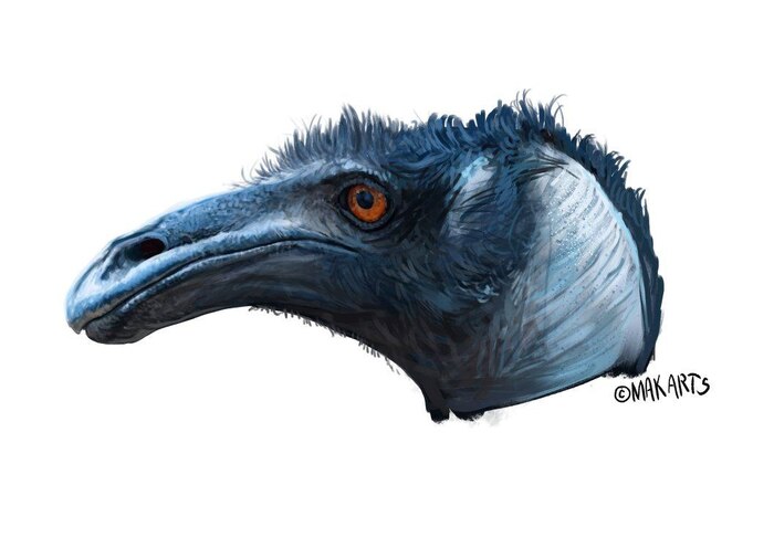 Реконструкция по костям черепа плюс фантазия художника