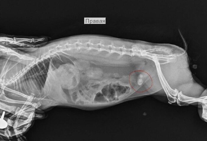 ������� ������� � ������� � ������� ������