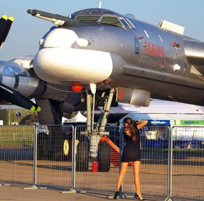 Девочка и птицелёт