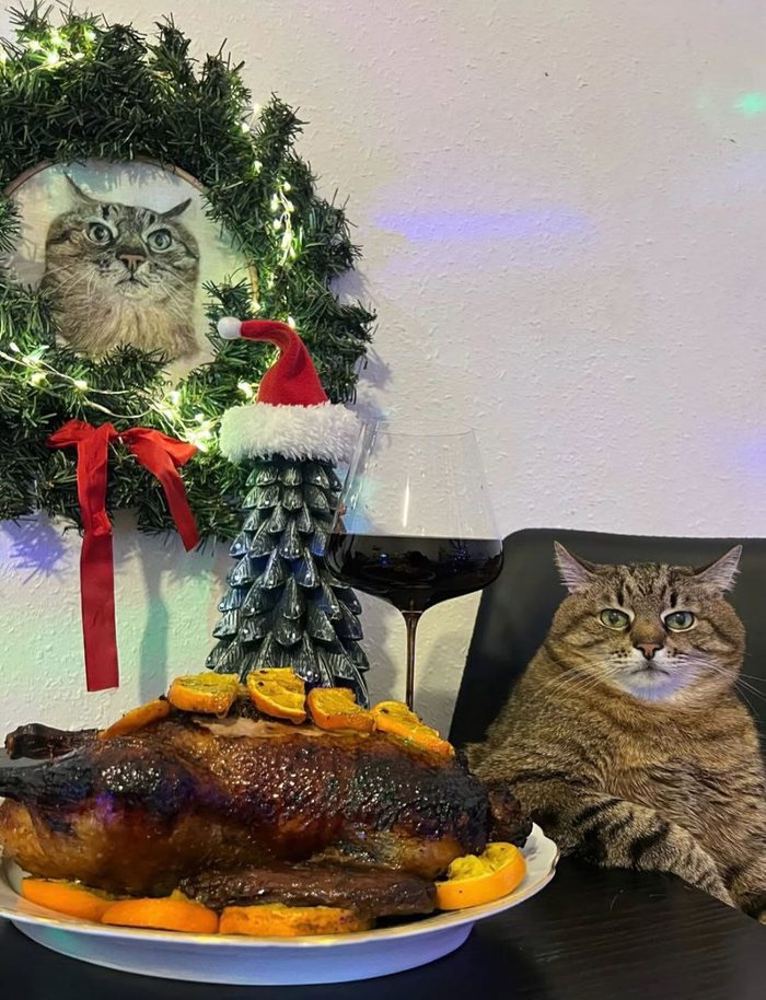 Все фотографии взяты из официального канала на платформе Iнсtаgрам