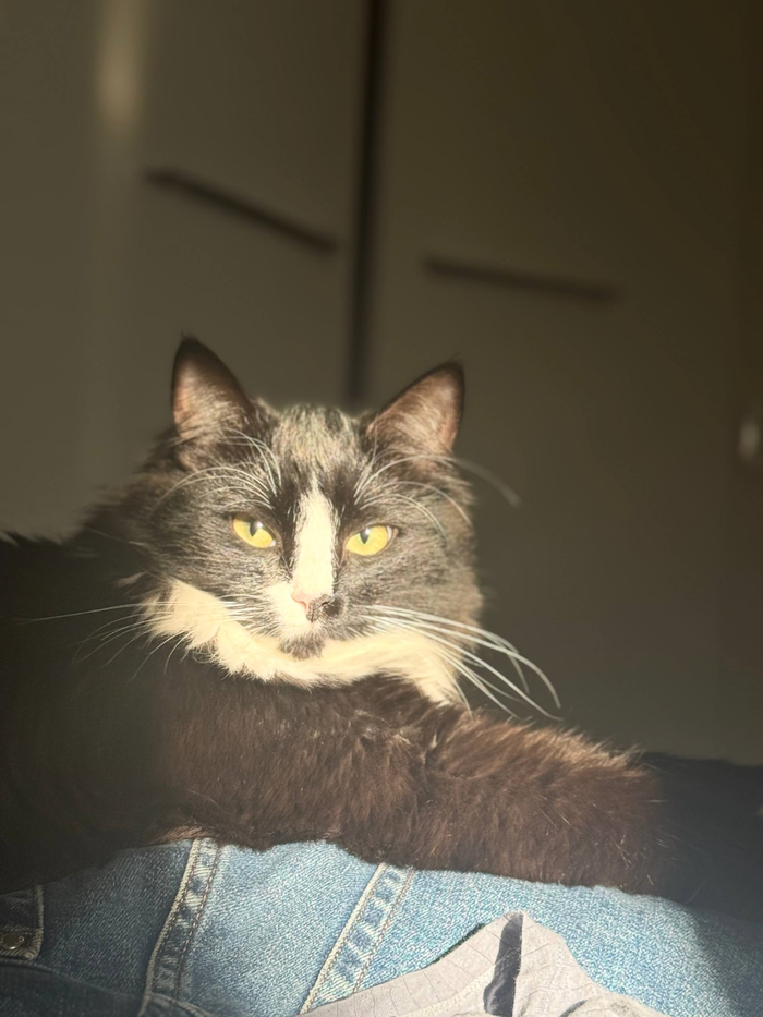 � ����� �� �� ������ �������� �������. 