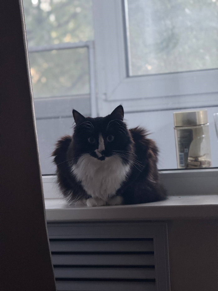 ����� ������� �����. 