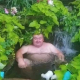 kobradobra