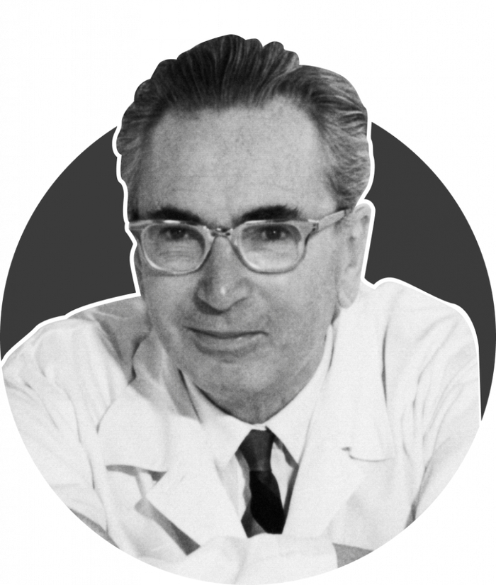 ������ ������