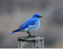 � ������