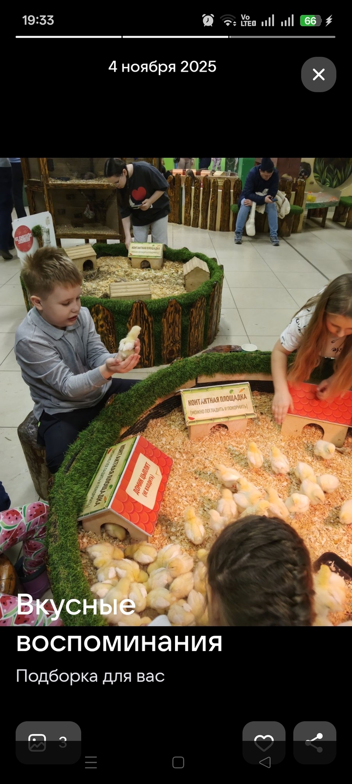 "������� ������������"