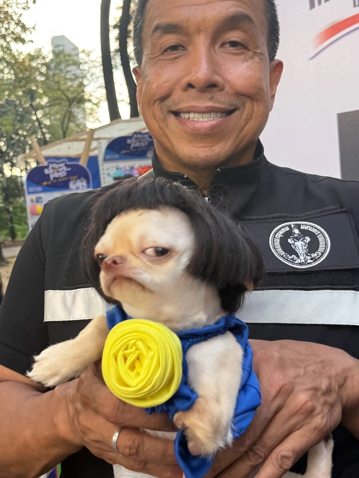 ���������� �������� �� ����� ��������