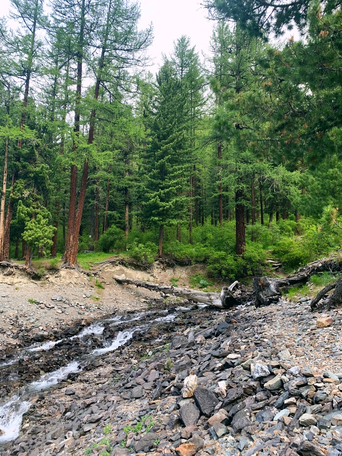 ������ ������ � ������ ����� ��� ������ ����� � ����