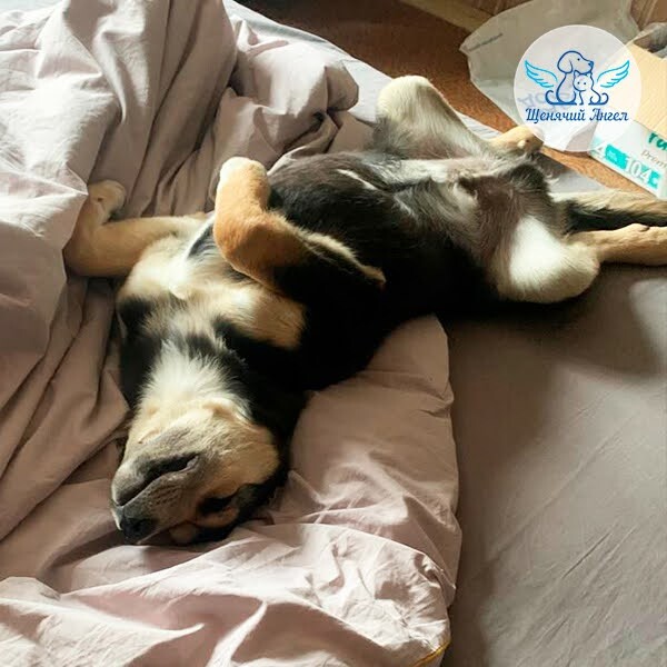 ��� ��������� ������ �� ������ ����� ��������� ����� �������� ���� ��� ������, ��� ���������� ���������