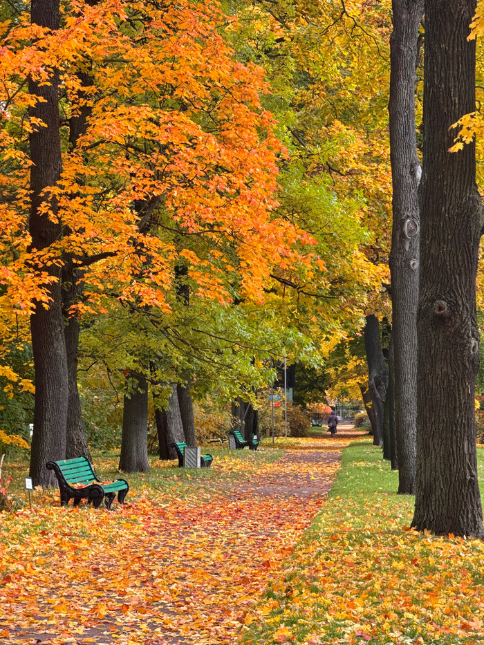 ���� �� ���������� �� ������������� ��� ��� ��ͻ. 2025 ���.