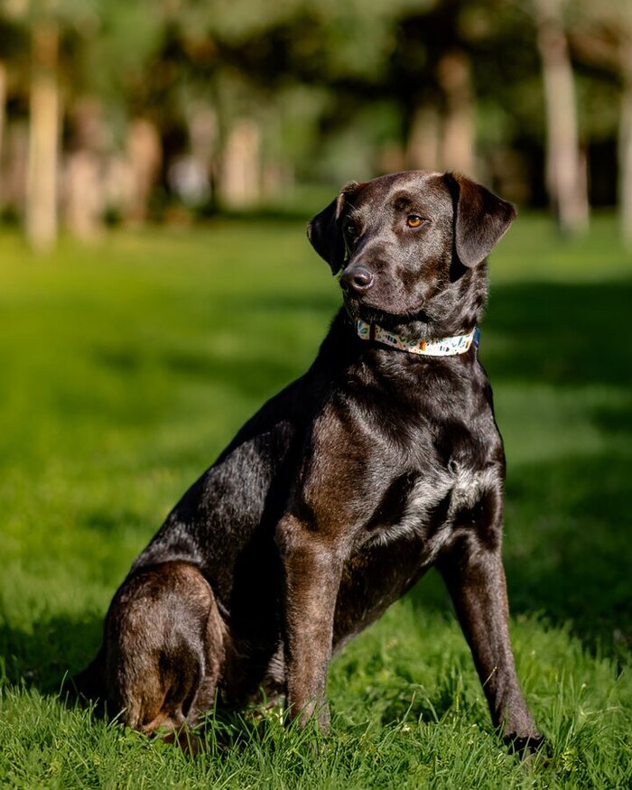 ������, �� � ��. ������. �������� ������� ��������� ���� ���