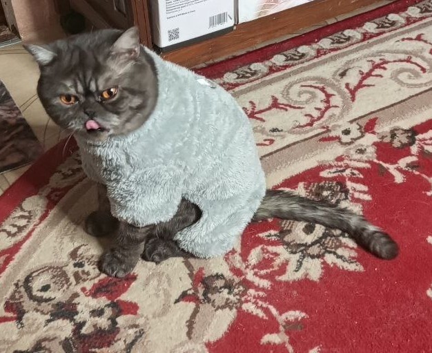 После вкусного обеда.