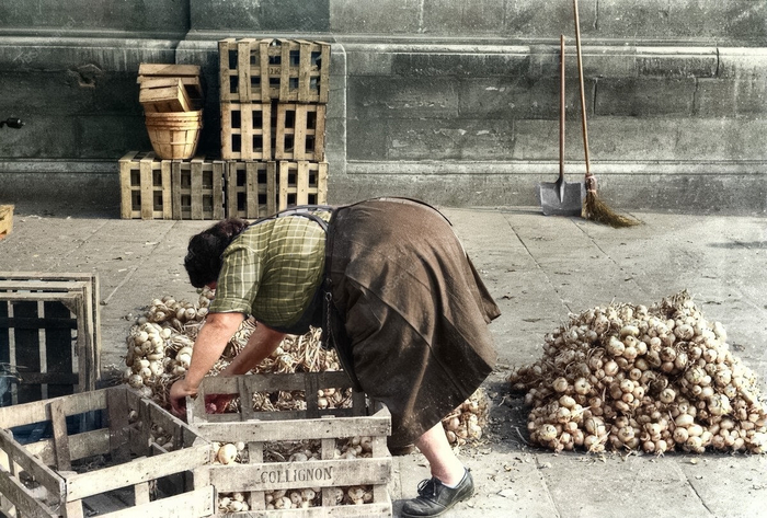 ��������: ���� ����