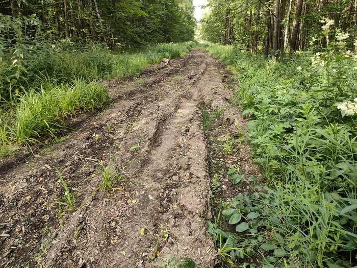 ����� �� ������� ������� � ������� �������