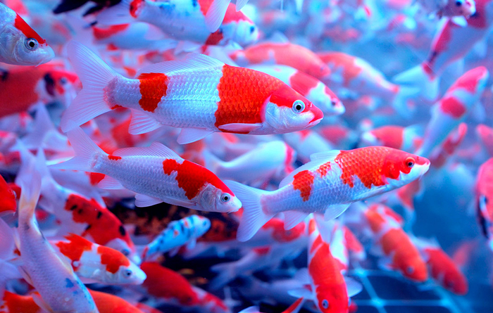 ������� ������������ ����� � ����� ����������� ������ � ���������� ��������� �����//����: Sipa USA/����