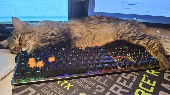 ������ ����������, ��� ��� ����� �� �����: