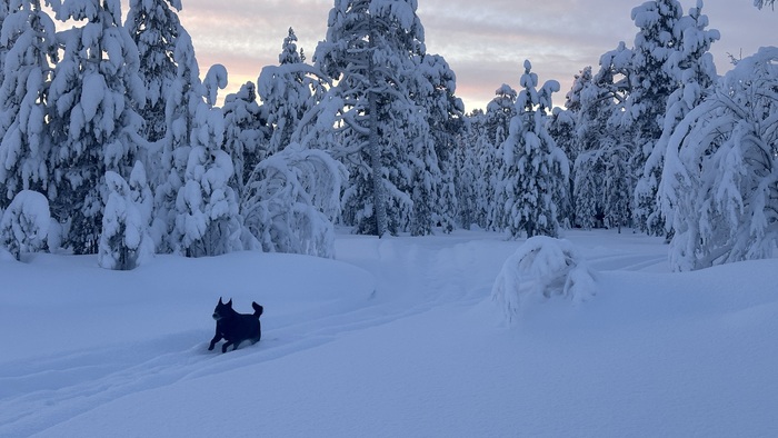 ���� � ���� � ����, ������� ��� � �����;)