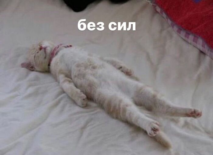 ��, ��� ����� ����� � ����