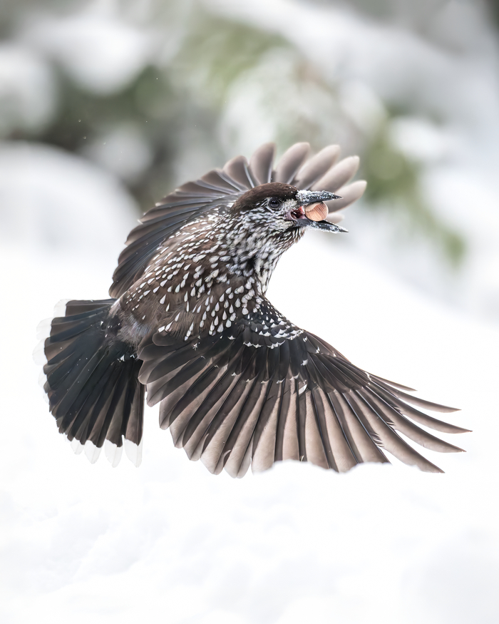 ����: ������ ������� <a href="https://pikabu.ru/story/kedrovka_13642467?u=https%3A%2F%2Frtraveler.ru%2Fphoto%2F1481053%2F%3Feditorial_photos%3D1&t=%D0%BE%D1%82%D1%81%D1%8E%D0%B4%D0%B0&h=afb80574f9d9ae999fb39ece80b33decf466294c" title="https://rtraveler.ru/photo/1481053/?editorial_photos=1" target="_blank" rel="nofollow noopener">������</a>