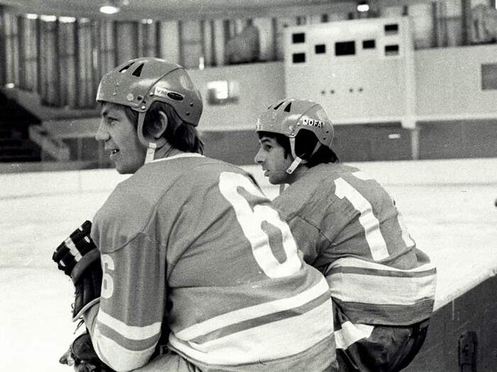 Васильев и Харламов.