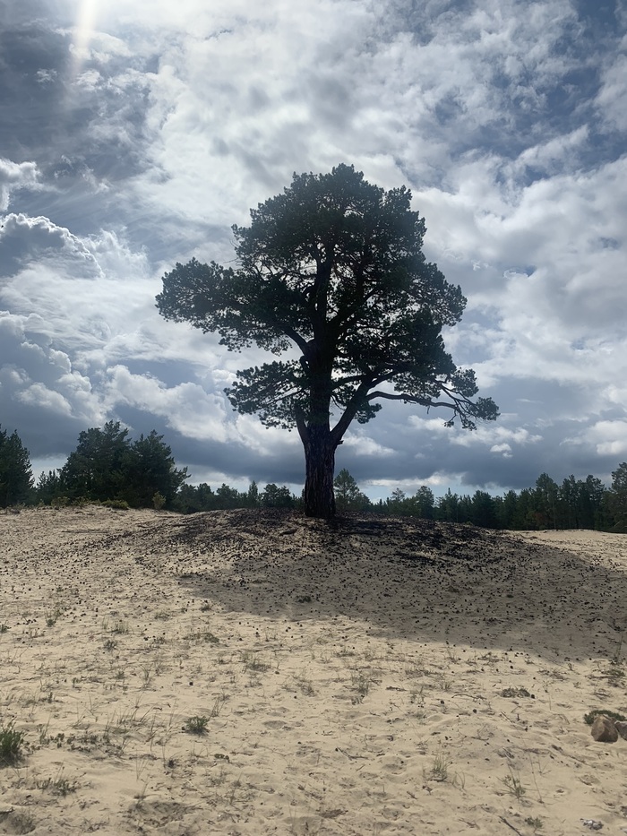 ����� ����� ���. �� ������ � ������ ����. ������. �����.