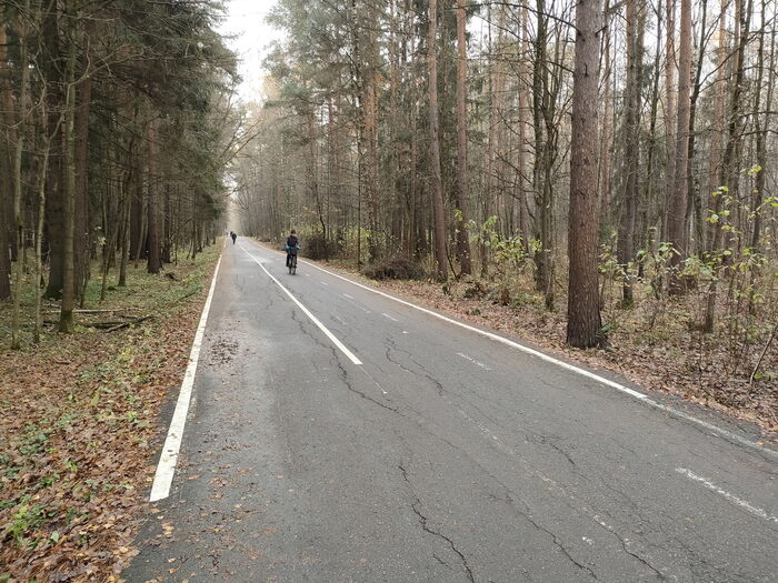 ����� ������������ ������ �������� �����������