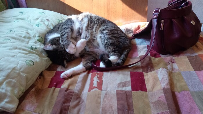 ��������� �� ������������ ������)