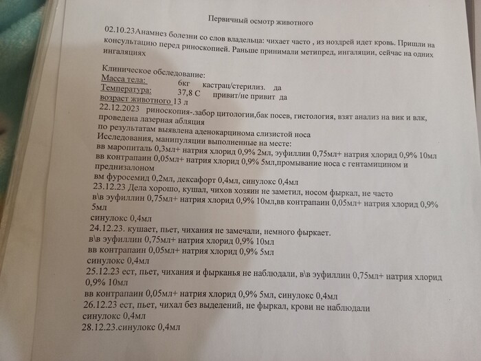 ������� �� �������, ��� ��������� ����������. 