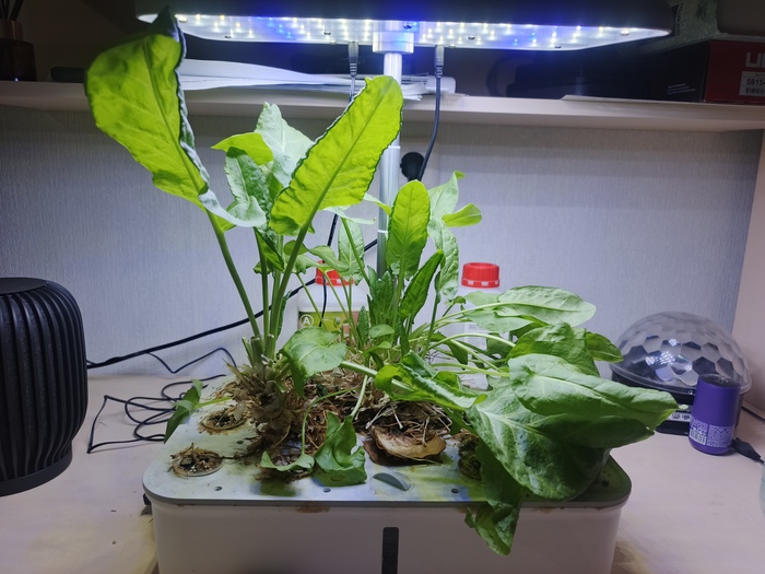 ������� �� ���������.