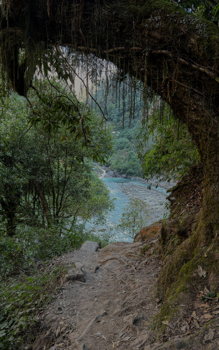 �������