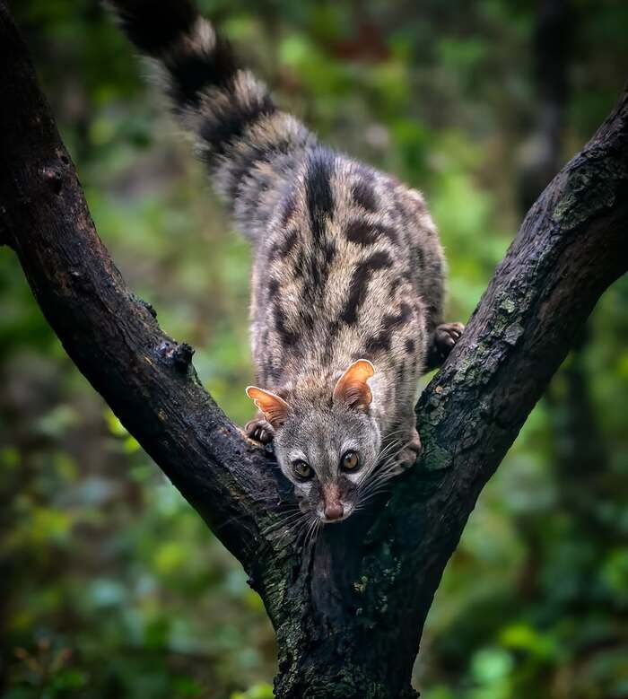 ������������ ������