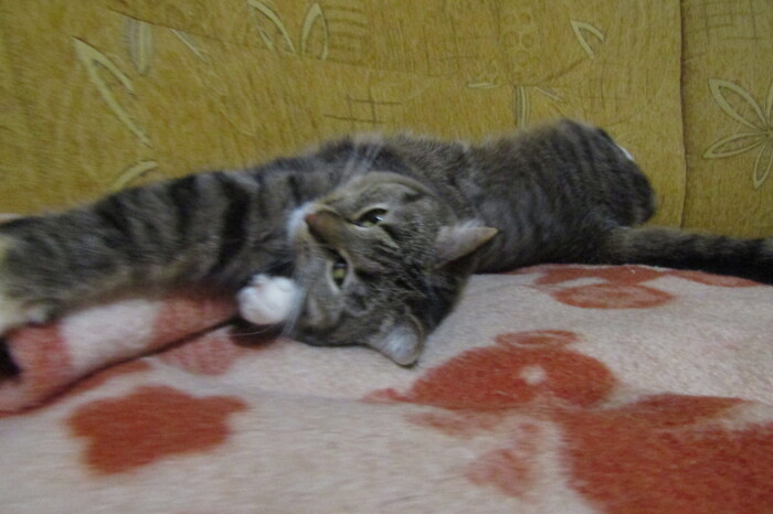 ����� ����� ������...