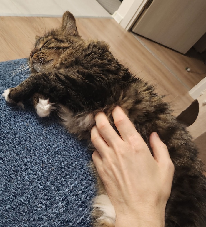 ���������� ������� #186