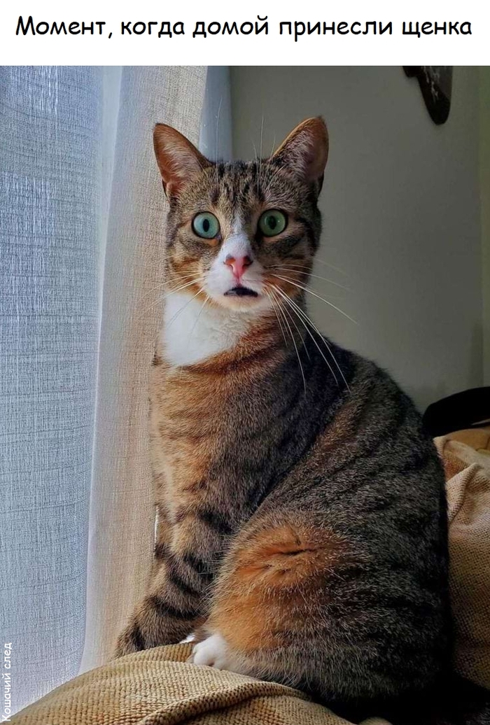 �� ��, ��������?