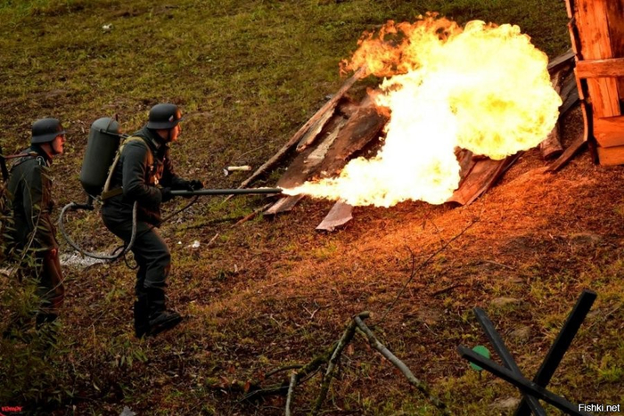 Ответ на пост «Бездомные собаки кусаются, ибо имеют право»