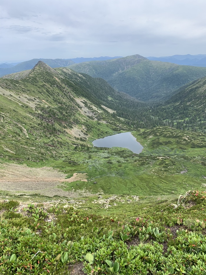 ����� ������. �������, �� ��� �������� ������������ �����������, ��� ��������.