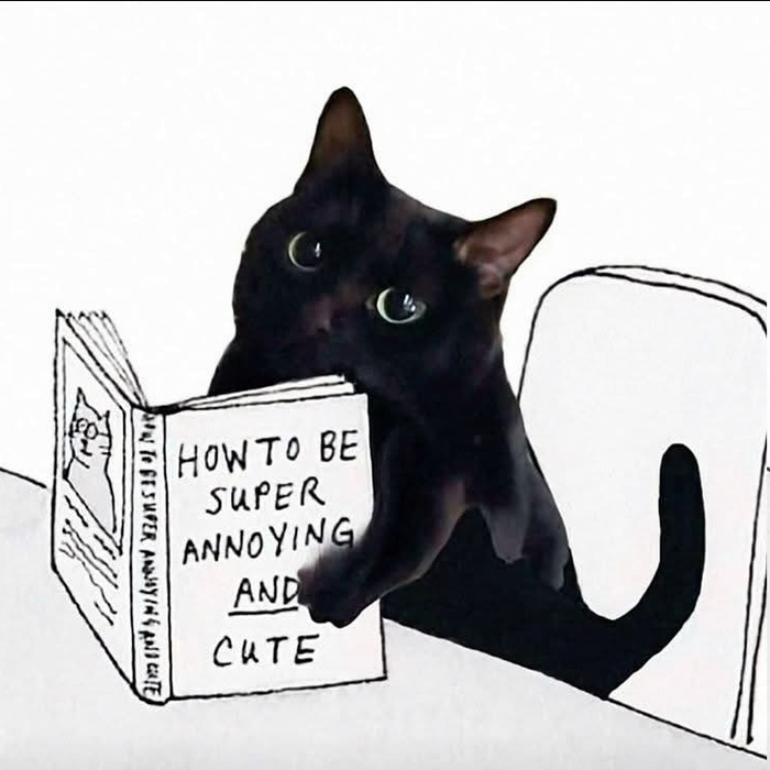 ������� ��������� ��� 5 ���!